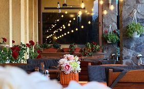 Hotel Valea Regilor Reghin